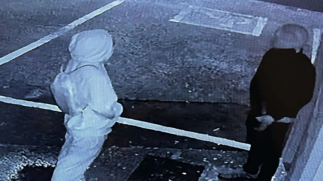 Sandston business owner out 'almost $5,000' after caught-on-camera thieves break into vape shop