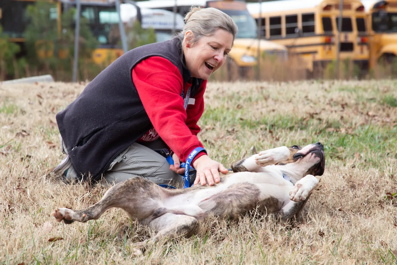 25 animals adopted at Henrico's 'Fixin' to go Home for the Holidays' event