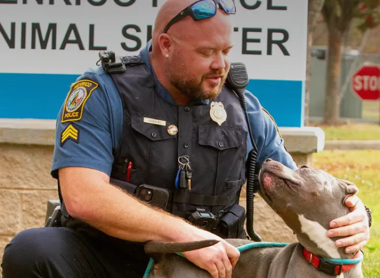 Henrico Humane Society, Henrico County to host  'Fixin' to go Home for the Holidays' animal adoption event