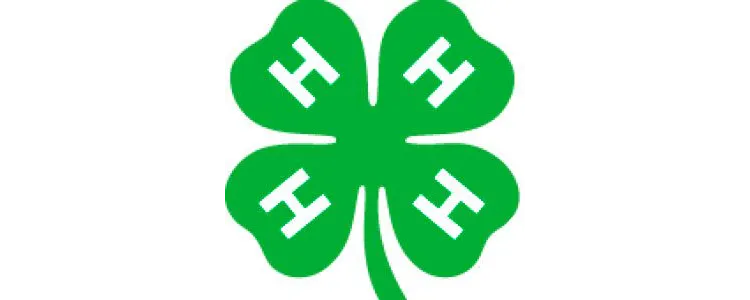 Henrico 4-H to offer 'Ready, Set, Camp!' workshop for first-time 4-H campers