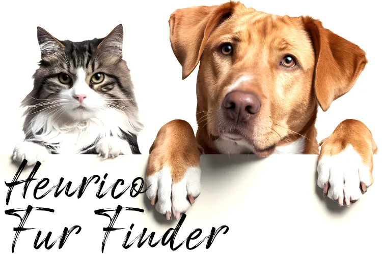 Henrico Fur Finder: March 19, 2025