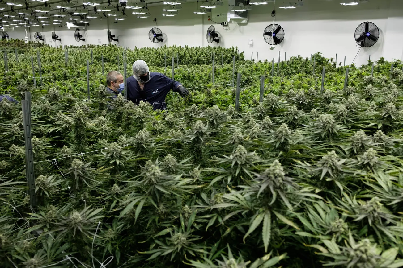 Joint cannabis commission holds first meeting amid push for regulated market