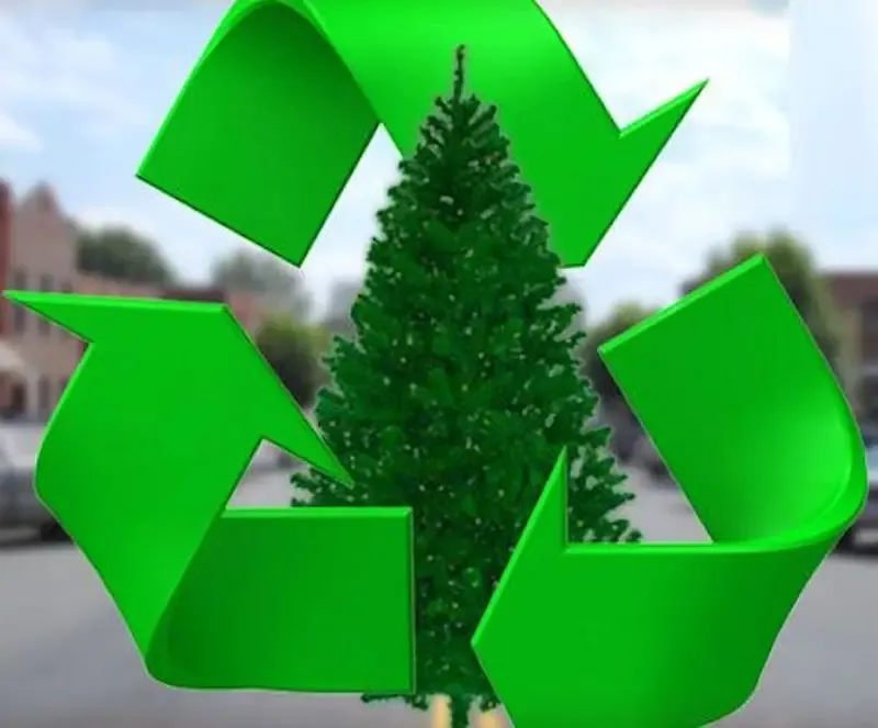 Henrico to accept Christmas trees for recycling through Jan. 7