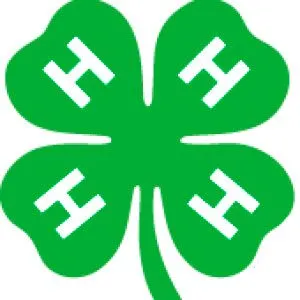 Registration opens for Henrico 4-H special interest clubs for youngsters