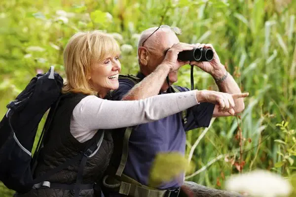 Henrico libraries to host birdwatching workshops in October