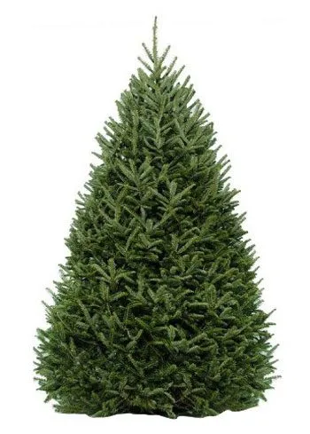 Henrico to accept Christmas trees for recycling through Jan. 6