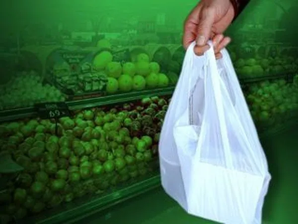 Richmond delegate proposes allowing tax on disposable paper, plastic bags