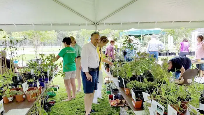 Butterfly festival and plant sale scheduled June 15