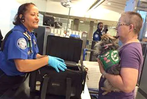 TSA sets weekly screening record at RIC