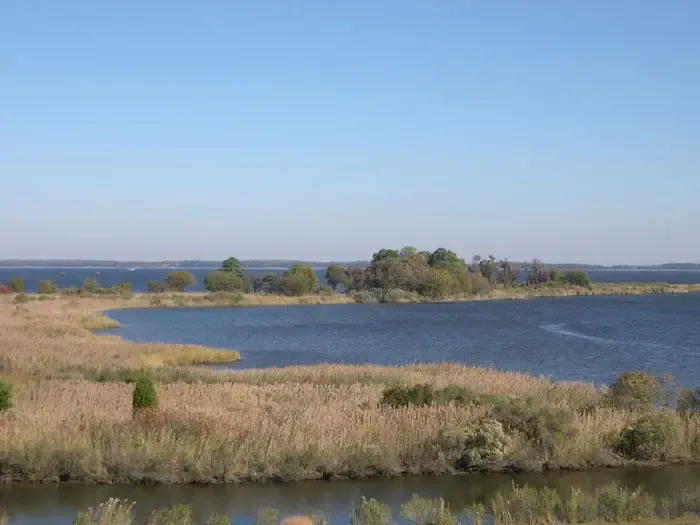 'Chesapeake Stewards' program begins Sept. 10