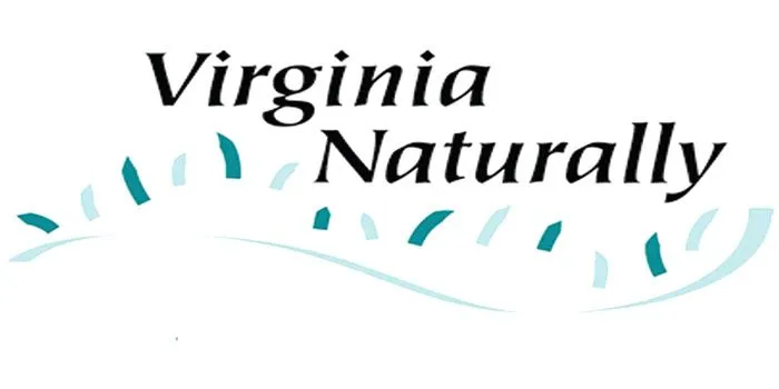 10 HCPS schools earn 'Virginia Naturally' designation for environmental efforts