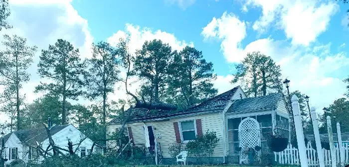 Tree falls into West End home