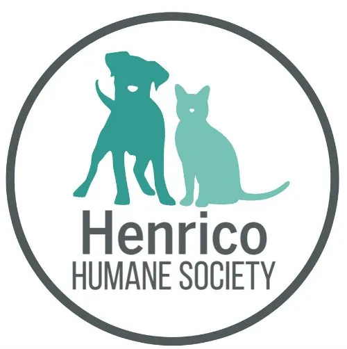 Henrico Humane Society’s ‘Cash for Cats’ fundraising campaign ends June 8