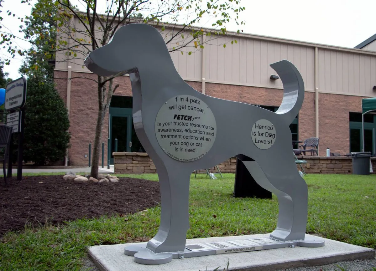 FETCH A Cure unveils steel dog at Deep Run Park