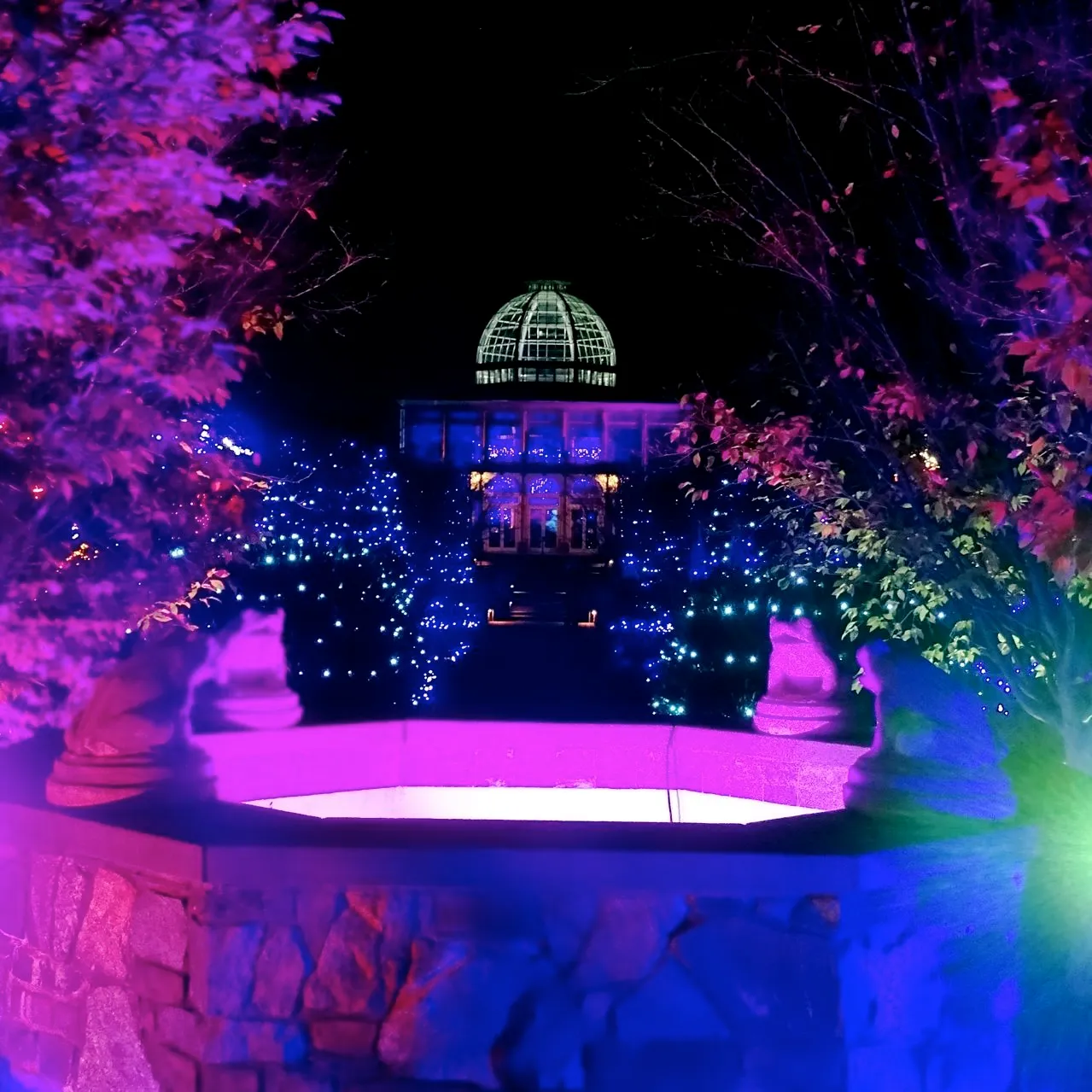 Lewis Ginter's holiday lights voted No. 4 nationally among botanical gardens