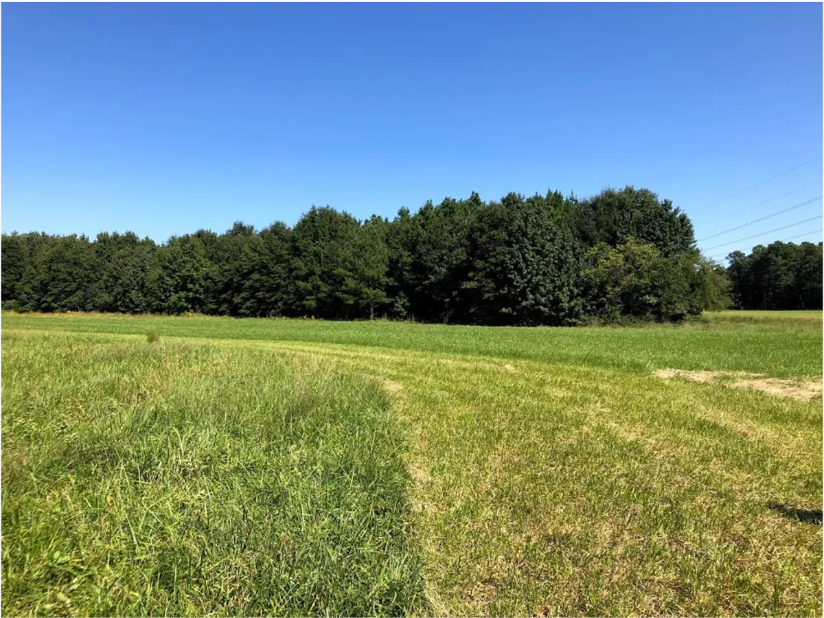 124 acres of Varina farmland preserved through easement