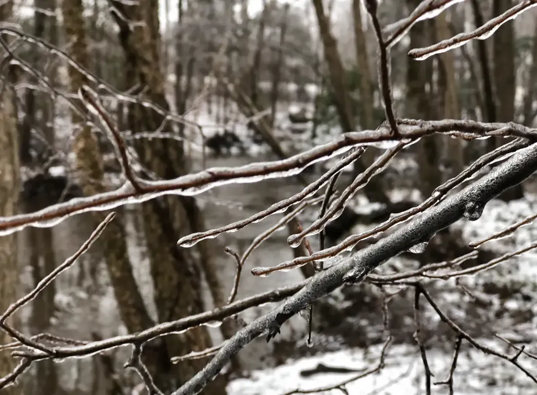 Winter on the Chickahominy