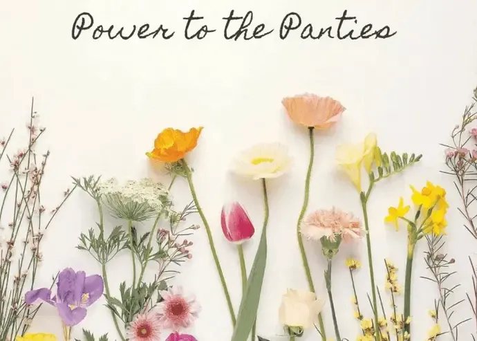 'Power to the Panties' fundraiser benefits sexual assault victims 