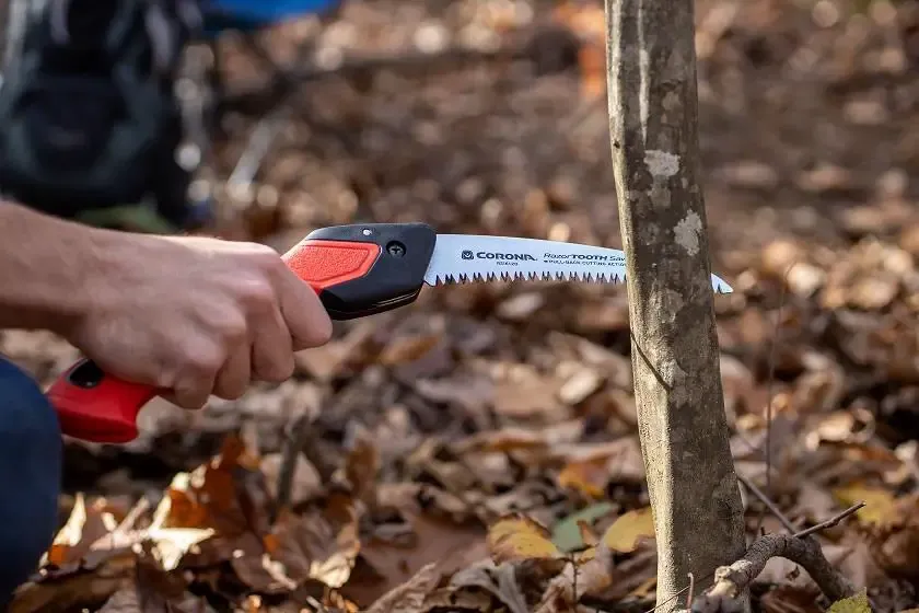 In the Garden: Fall landscape care to keep plants and pollinators healthy