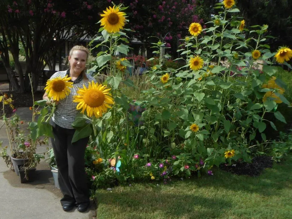 Community garden blooms in West End senior community