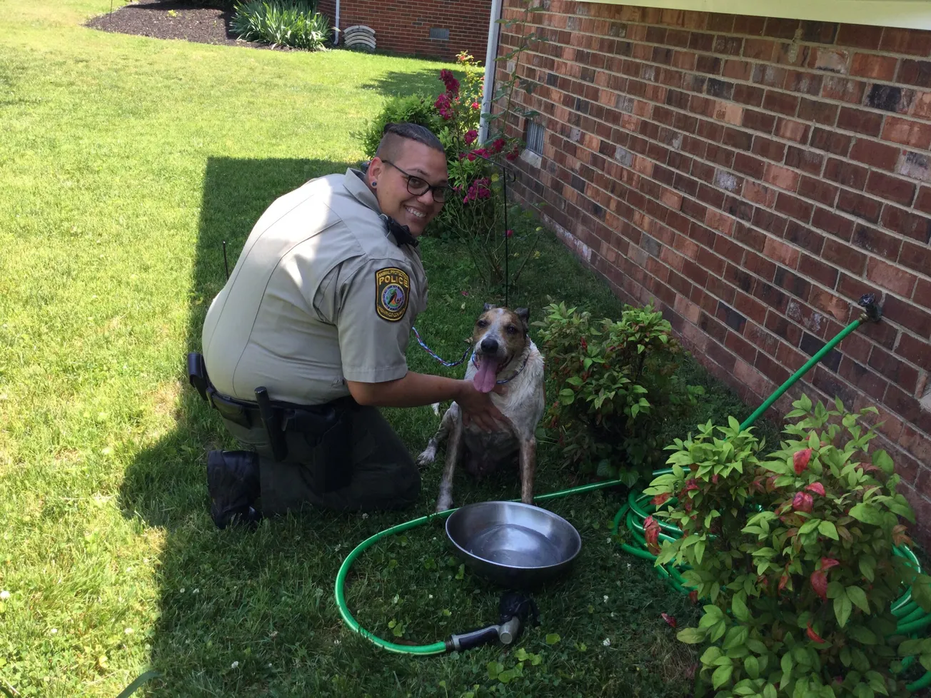 Henrico Animal Protection tends to dog distressed by heat