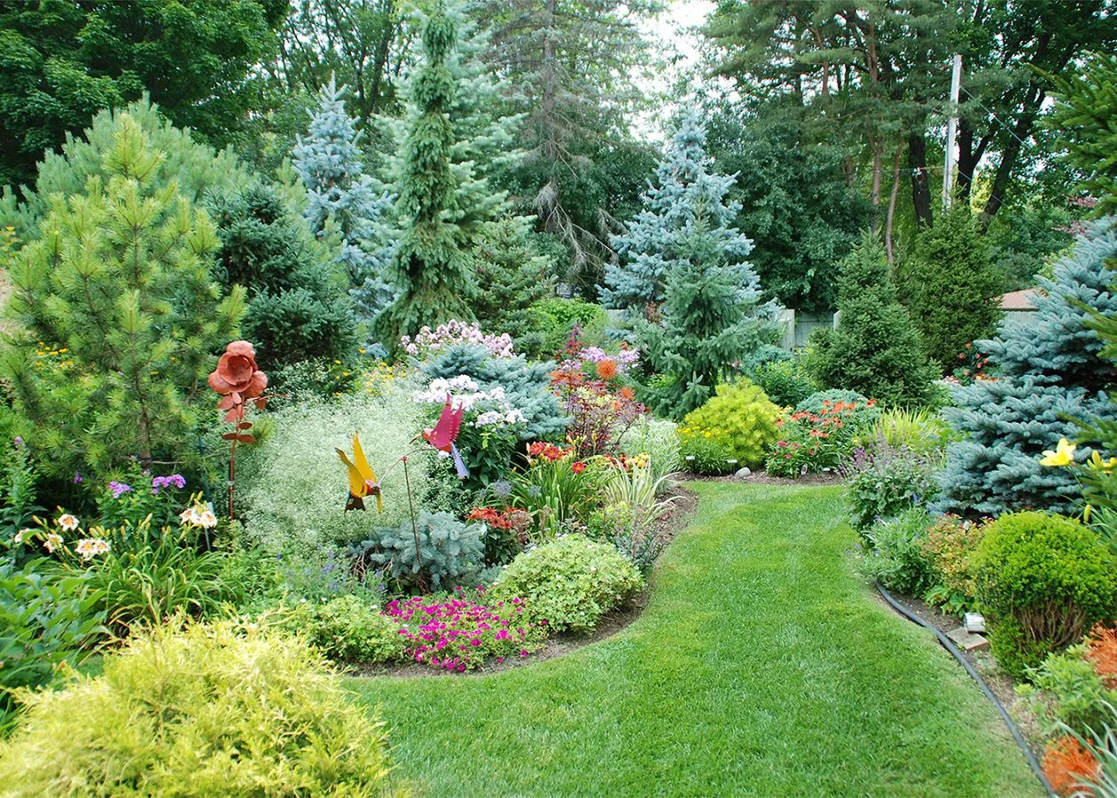 Increase your perennial garden’s beauty this spring