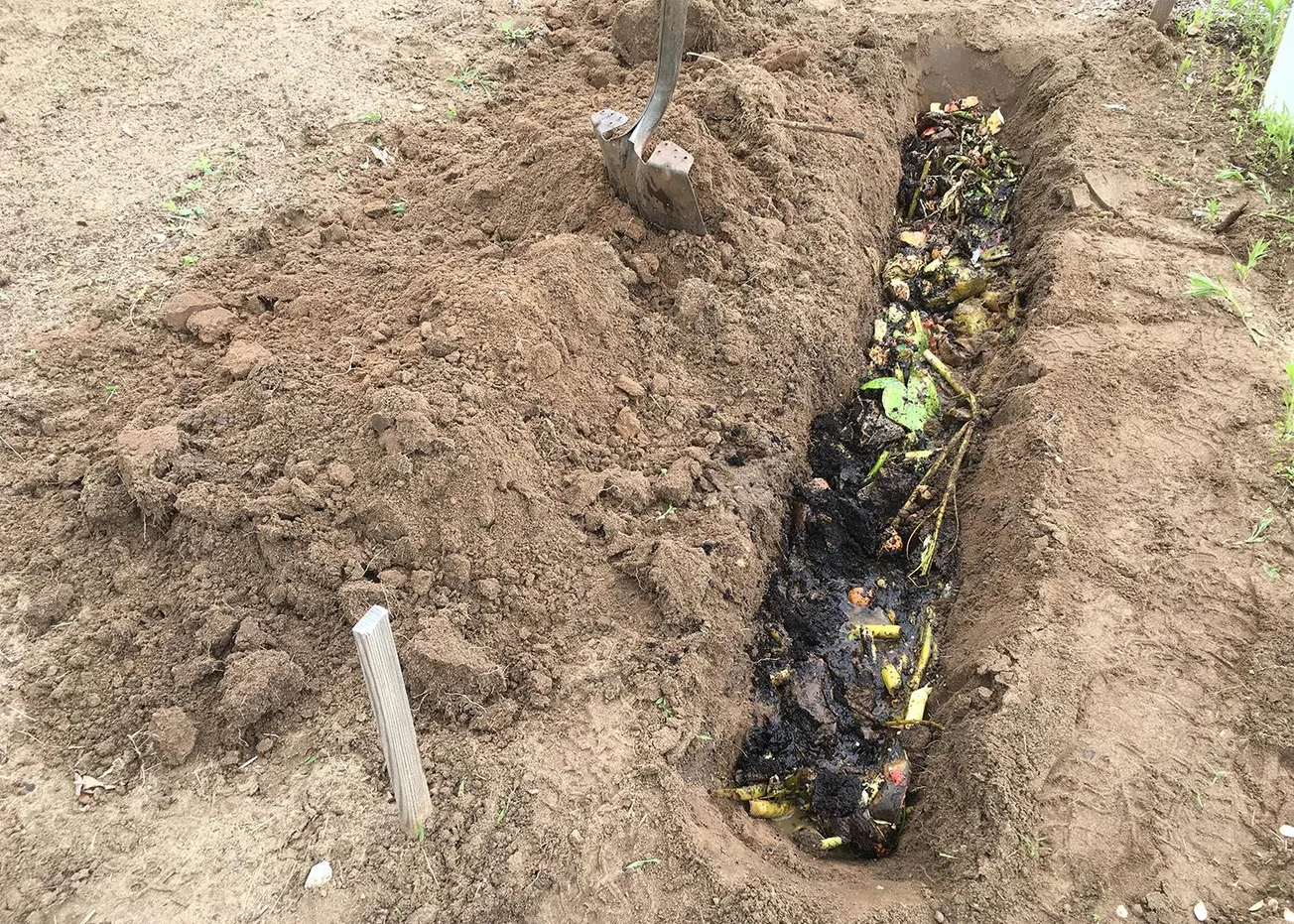 In the Garden: Composting directly in the garden