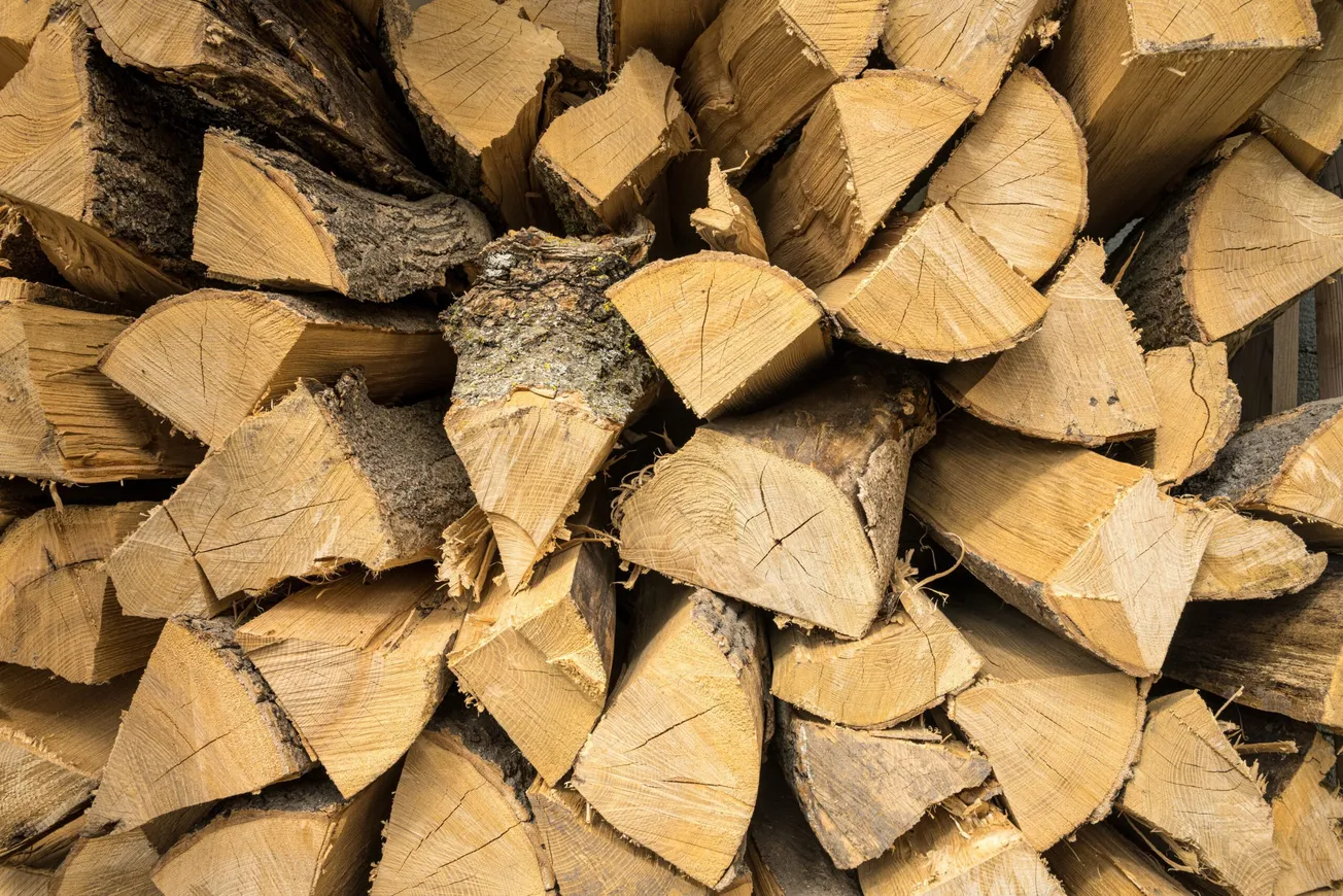 VDACS urges Virginians not to move firewood