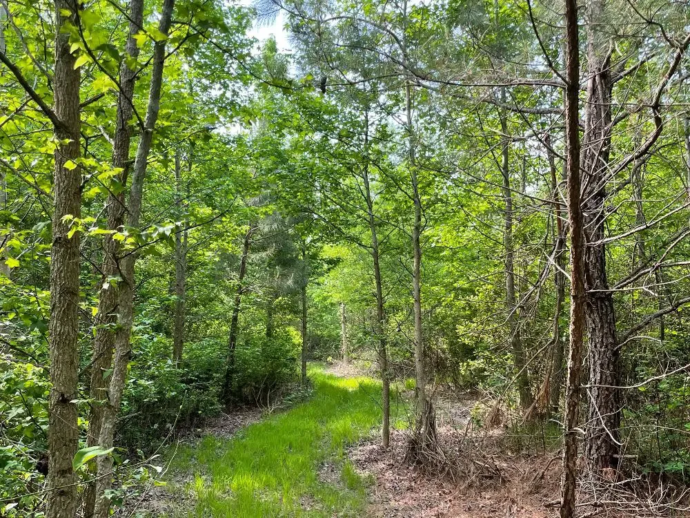 CRLC preserves New Market Heights Battlefield fortifications