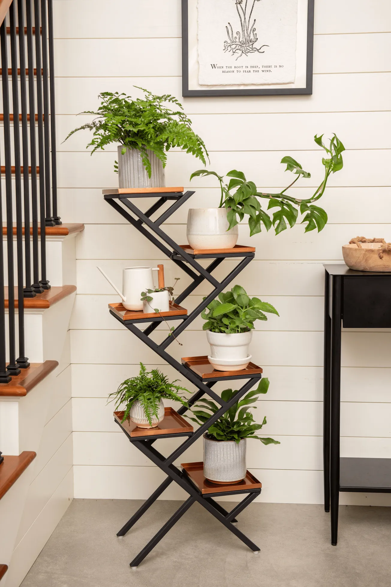 In the Garden: Beautify your home with a bit of greenery