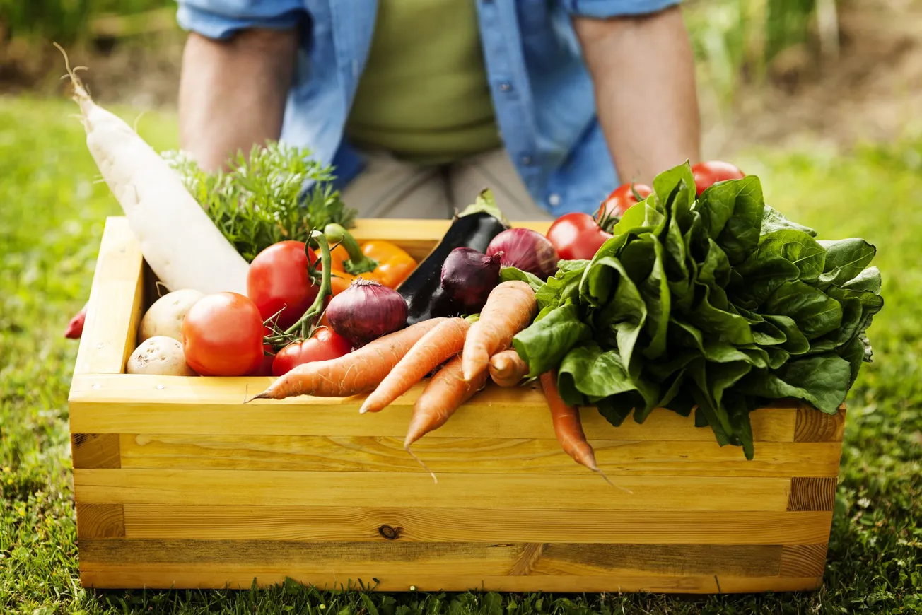 Henrico plans 20-acre community farm in Varina