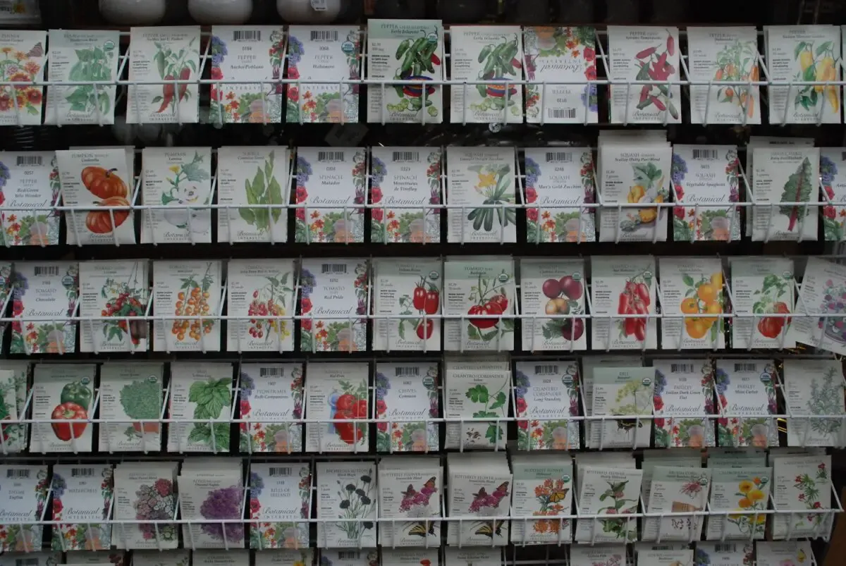 In the Garden: Understanding plant tags and seed packets to increase your gardening success