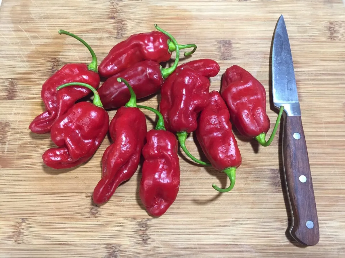 In the Garden: Managing the heat of hot peppers