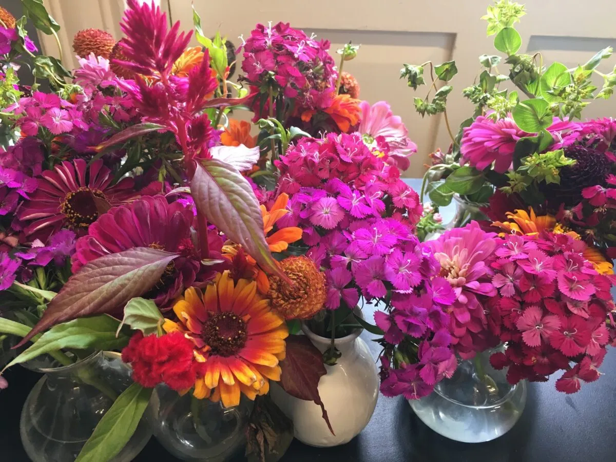 In the Garden: Summer bouquets from the garden