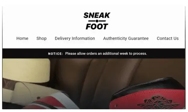 Owner of Glen Allen sneaker website pleads guilty to wire fraud