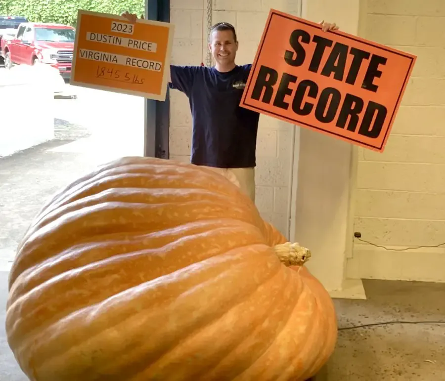 Short Pump man grows state-champion pumpkin in his backyard