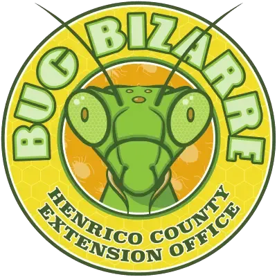 Henrico Extension Bug Bizarre planned Oct. 7