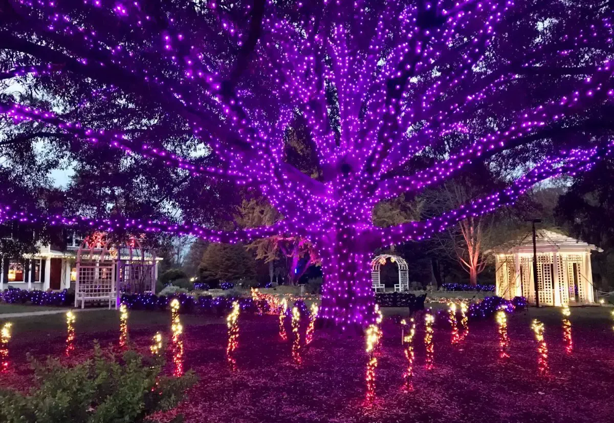 Lewis Ginter named home of best botanical garden holiday lights in US