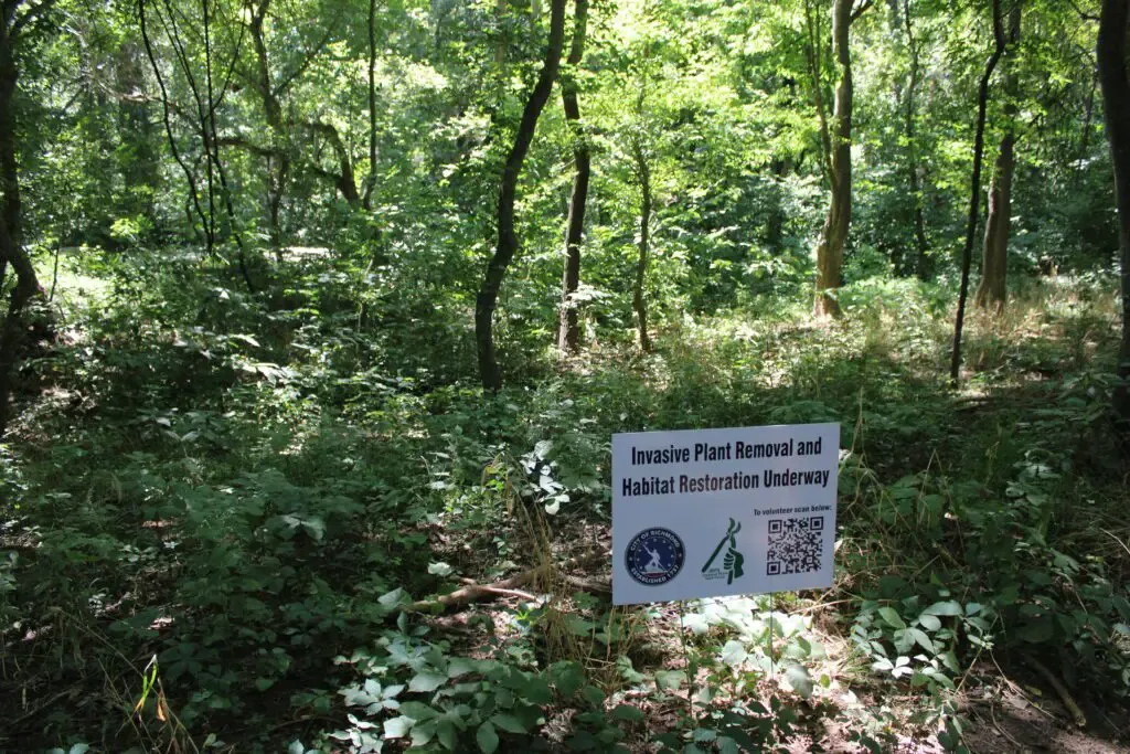 State group says Virginia should budget more for invasive species management