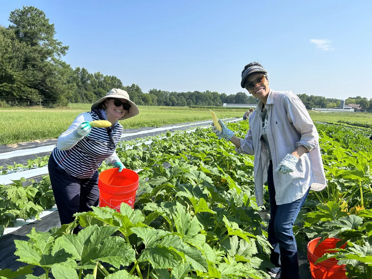 HCA Healthcare employees give back through volunteer campaign