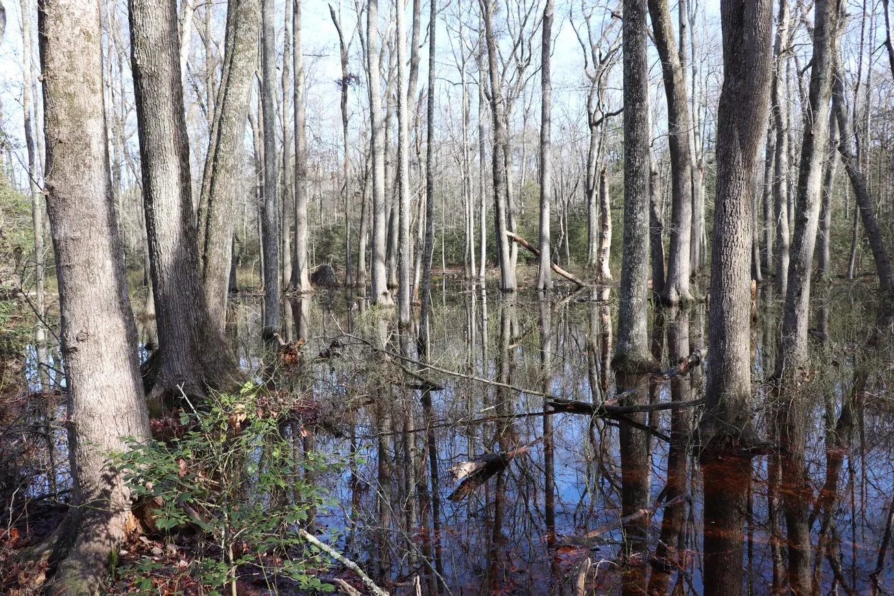 41 acres of Civil War land in Varina protected from development