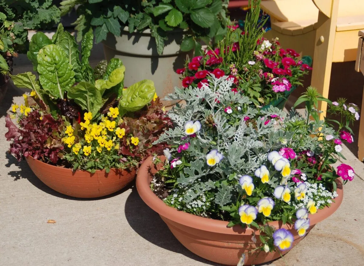 In the Garden: Selecting the right potting mix for your plantings