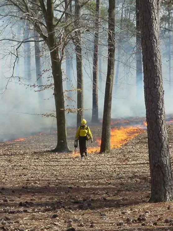 Prescribed burn planned for Cold Harbor area