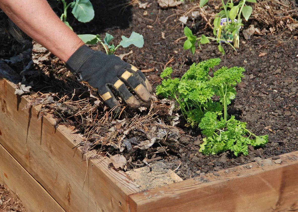 In the Garden: Double the benefit of every gardening task