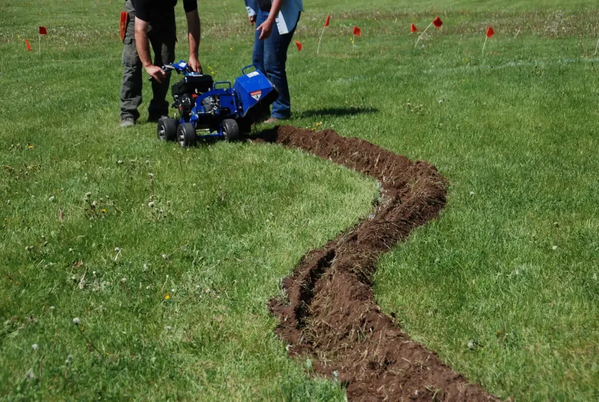 In the Garden: Expanding garden beds without the use of chemicals